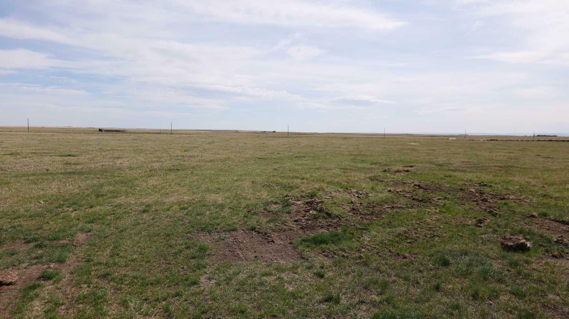Vulcan County  Rural Vulcan County AB T0L 2B0 photo
