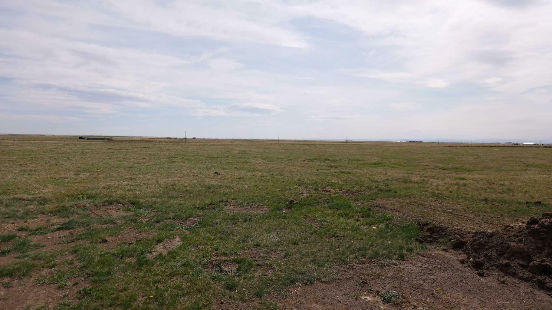Property Photo: Vulcan County AB T0L 2B0