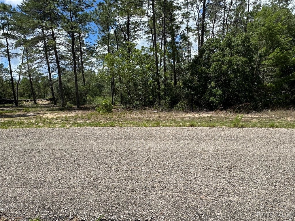 Property Photo: 8959 N Farrington Drive FL 34433