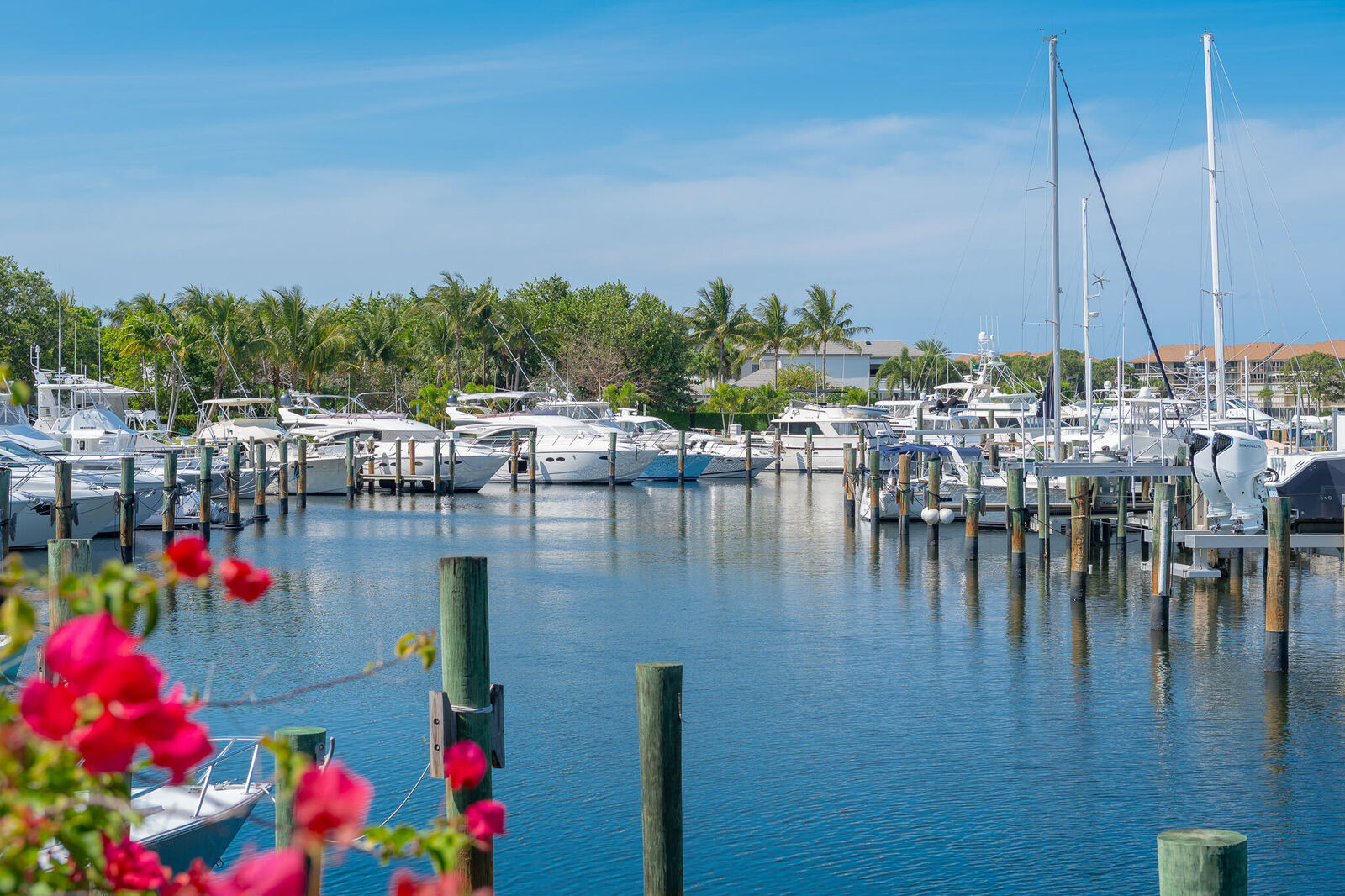 Property Photo:  2701 Cypress Island Drive  FL 33410 