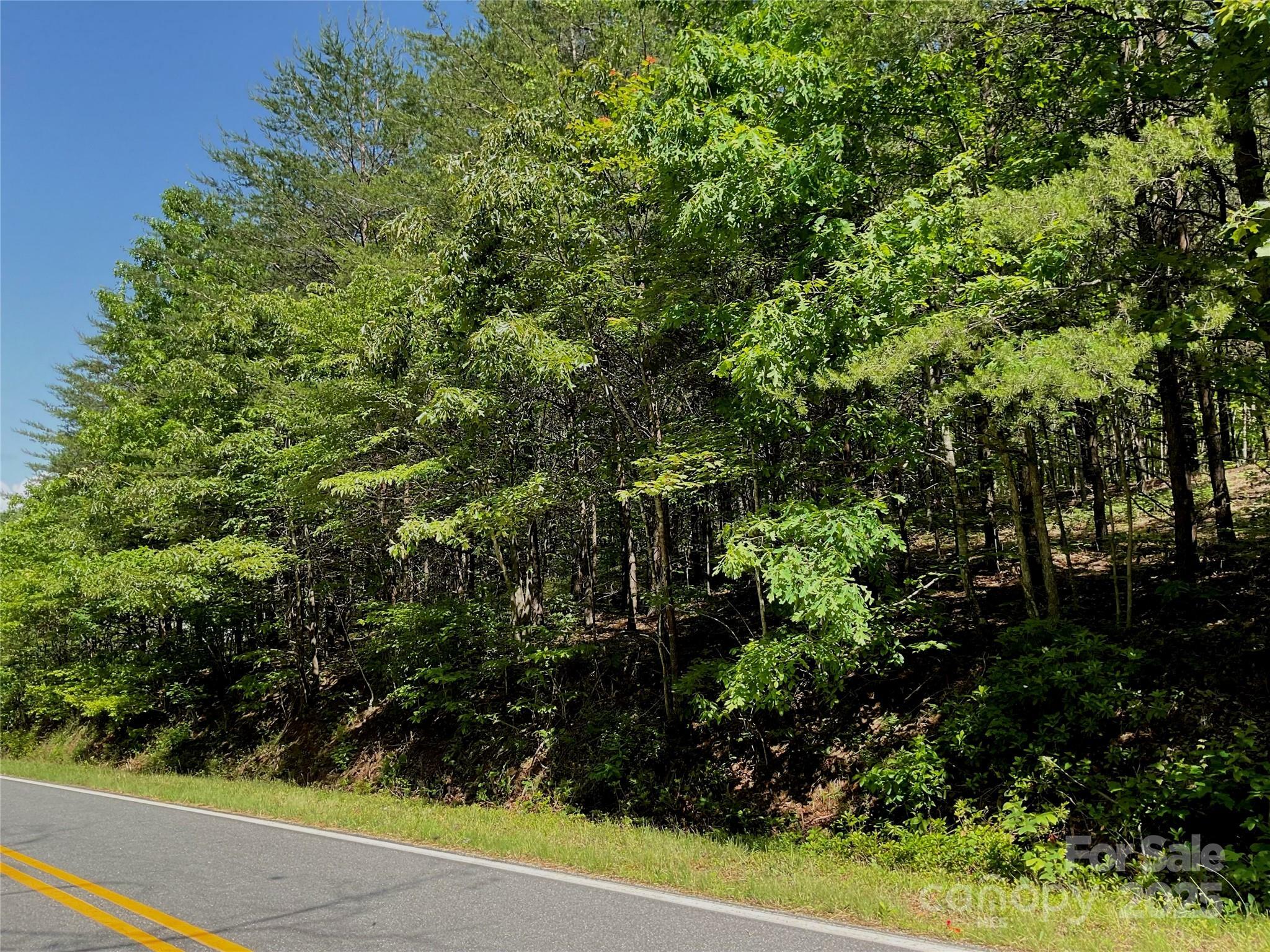 Property Photo: 0 Freemantown Road NC 28746