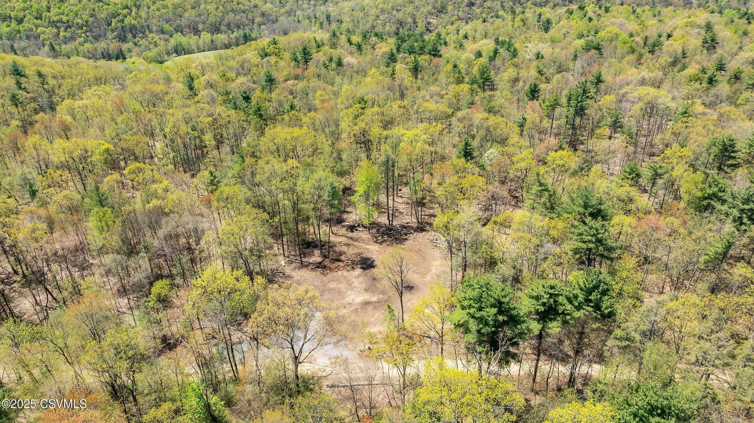 Property Photo: Lot 3 Patton Hill Road PA 17846
