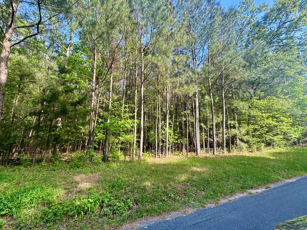 Property Photo: Lot C Seaside Rd VA 23420