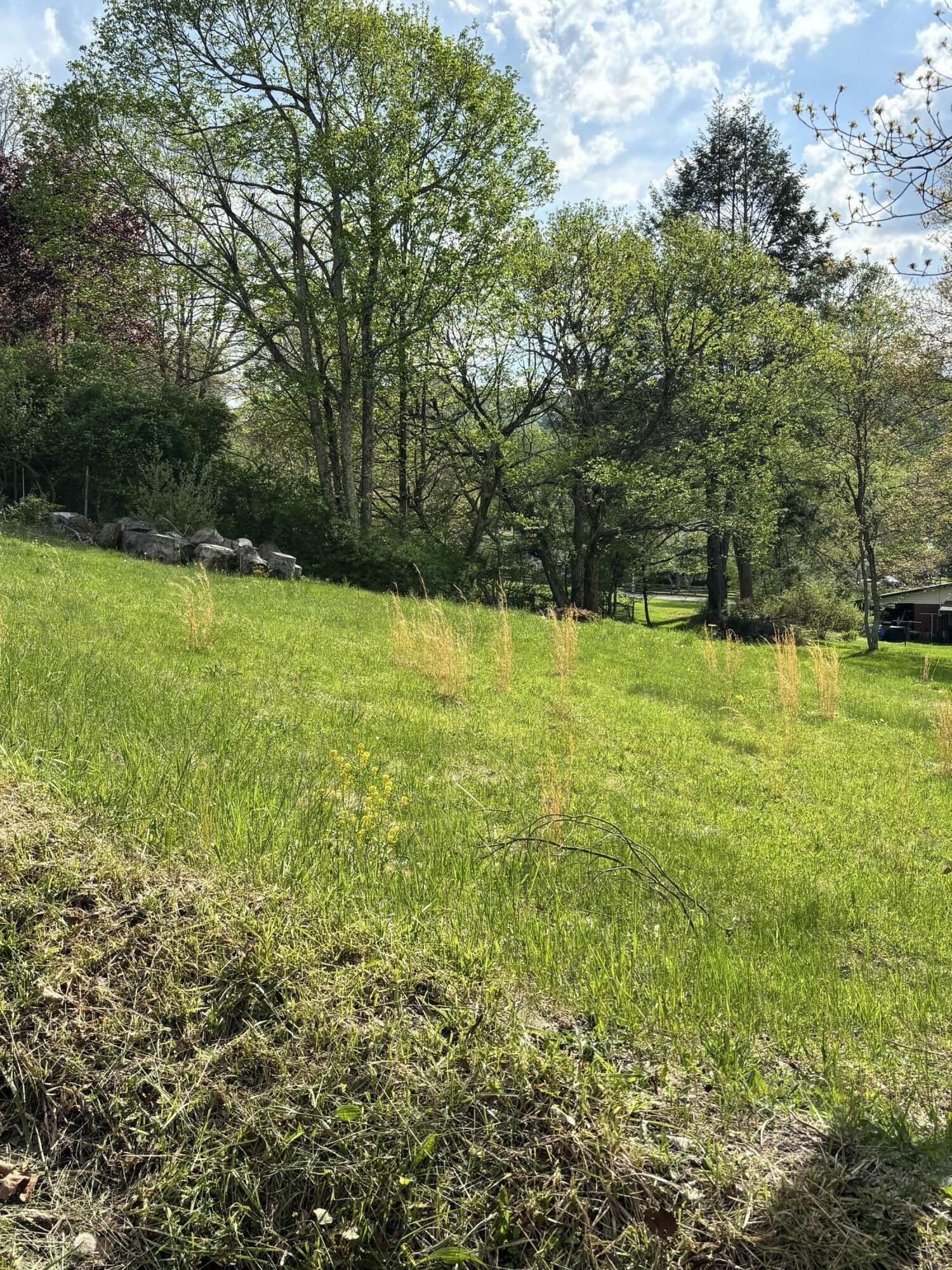 Orchard Street  Summersville WV 26651 photo
