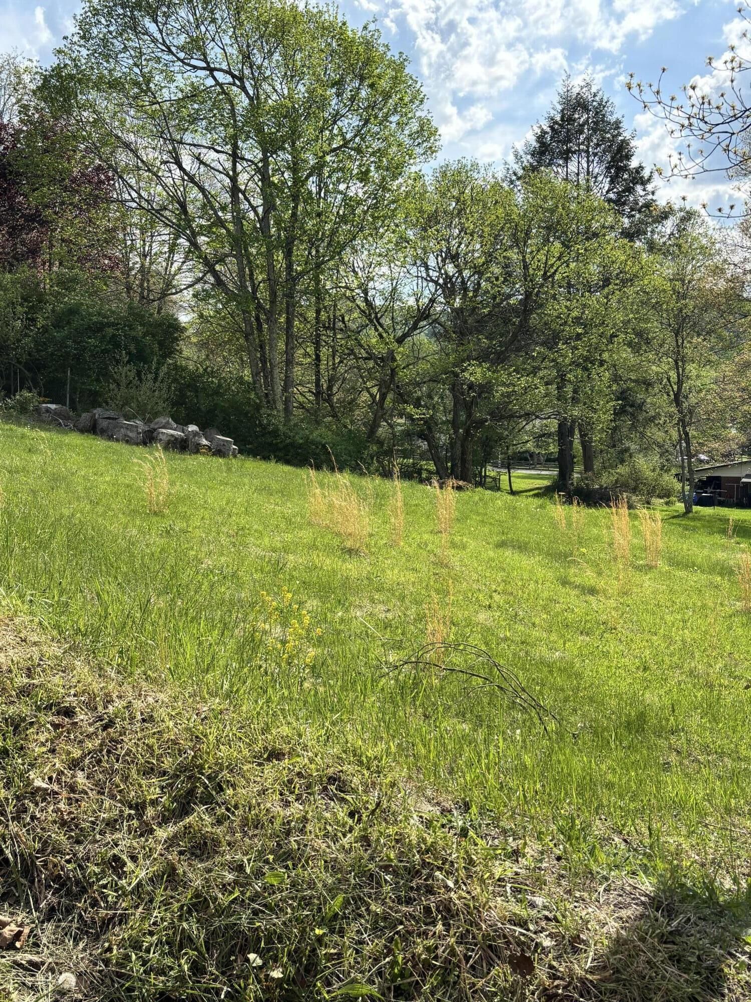 Property Photo: Orchard Street WV 26651