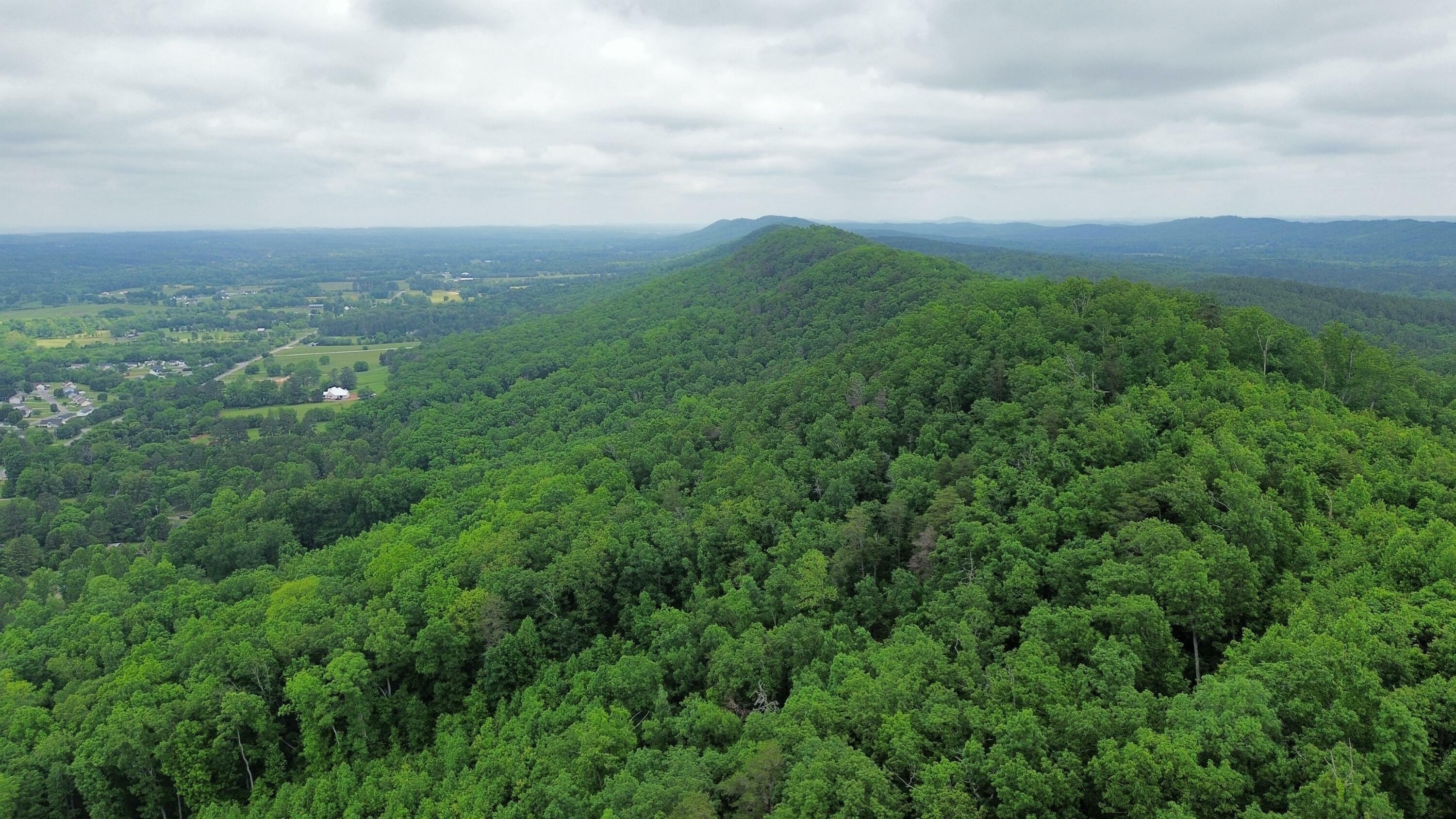 Property Photo: 0 Hwy 151 GA 30736