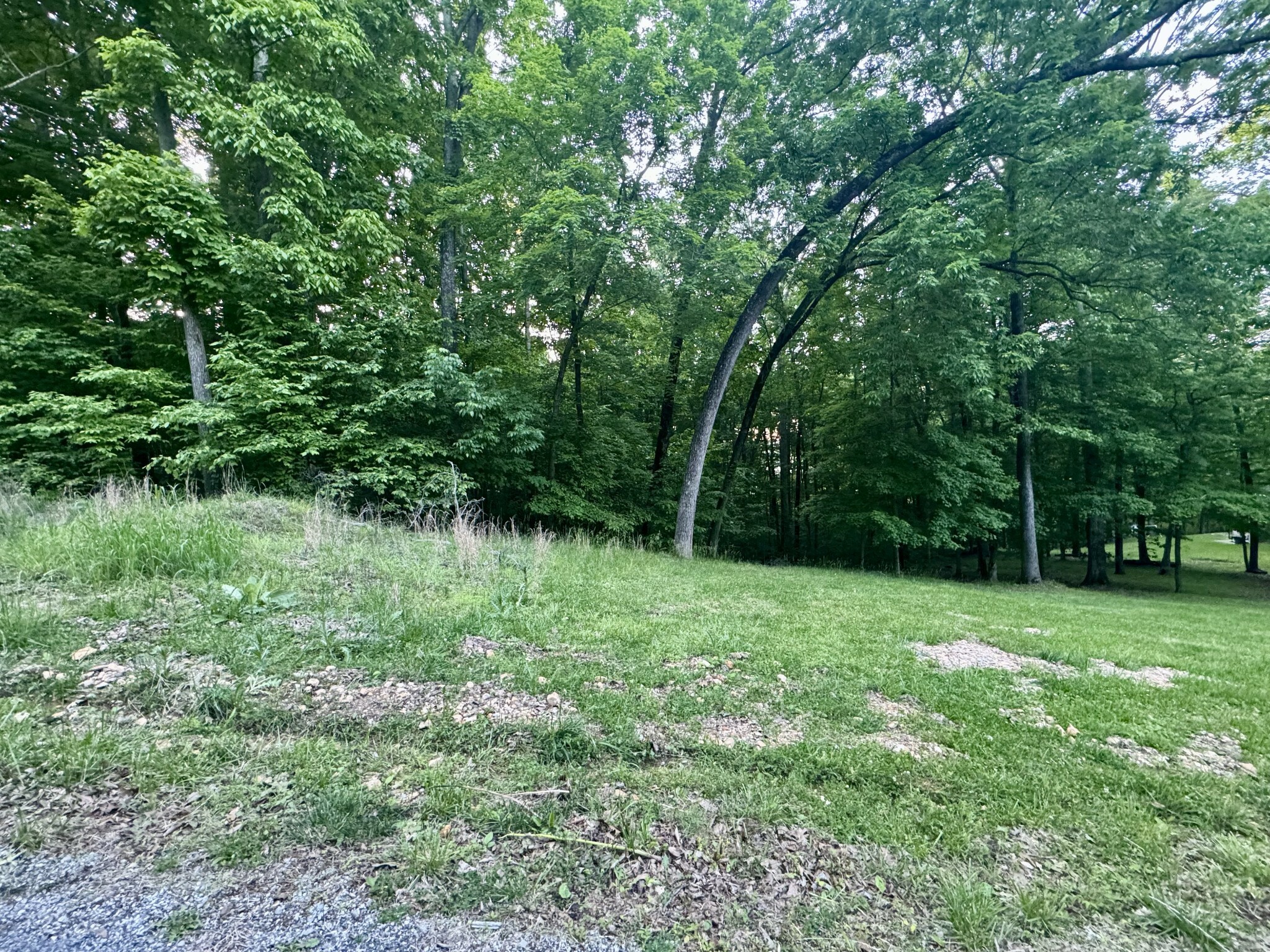 Property Photo: 0 Osprey Landing KY 42211