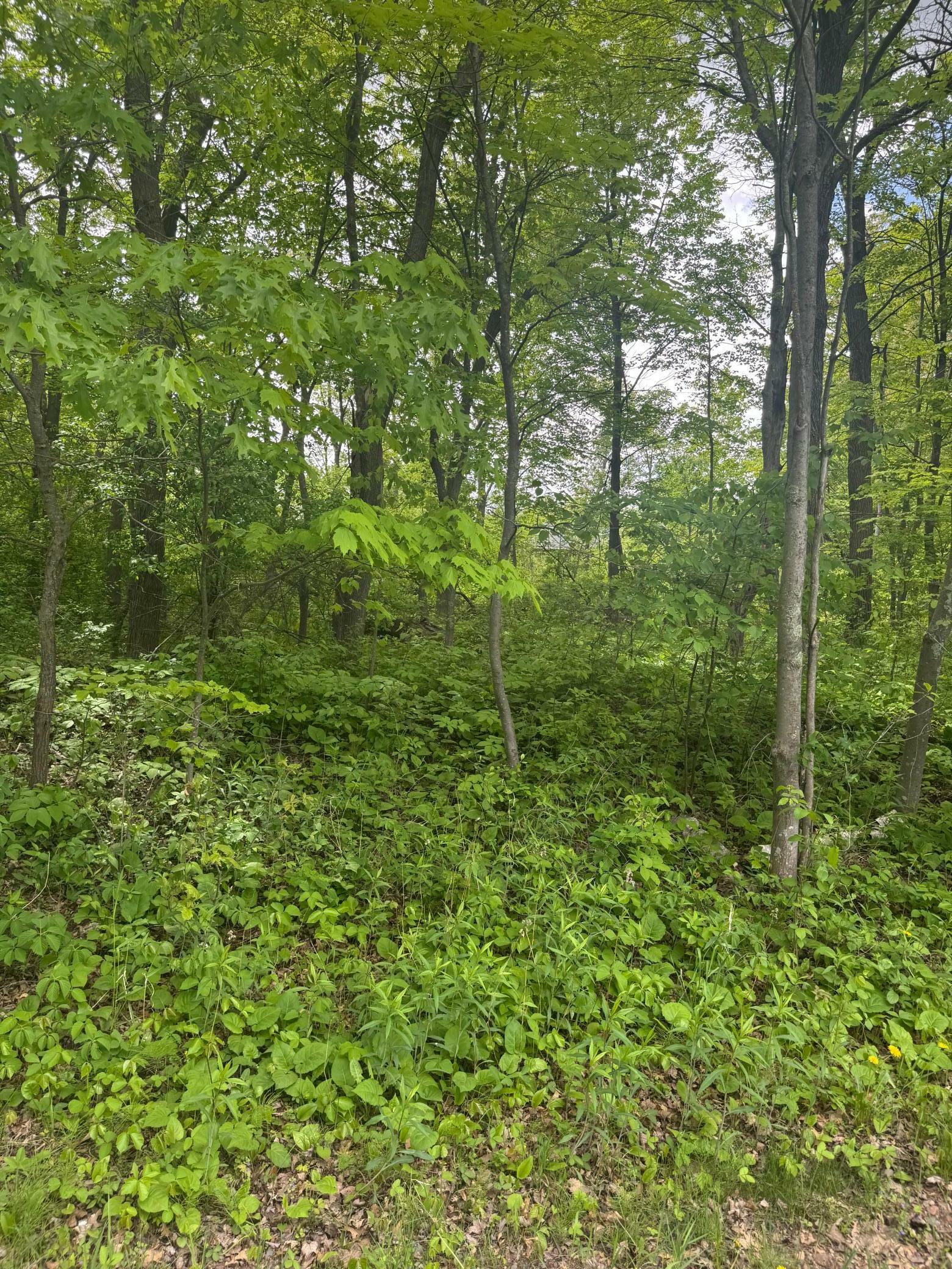 Property Photo:  Xxxx 241st Avenue NE  MN 55079 