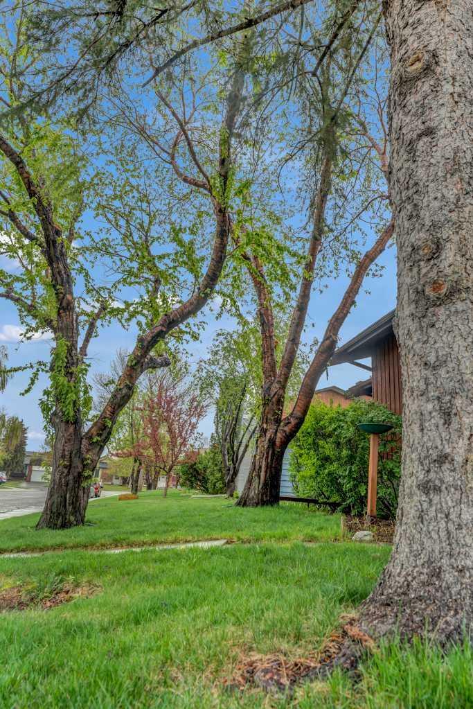 Property Photo: 156 Templewood Drive NE AB T1Y 4G8