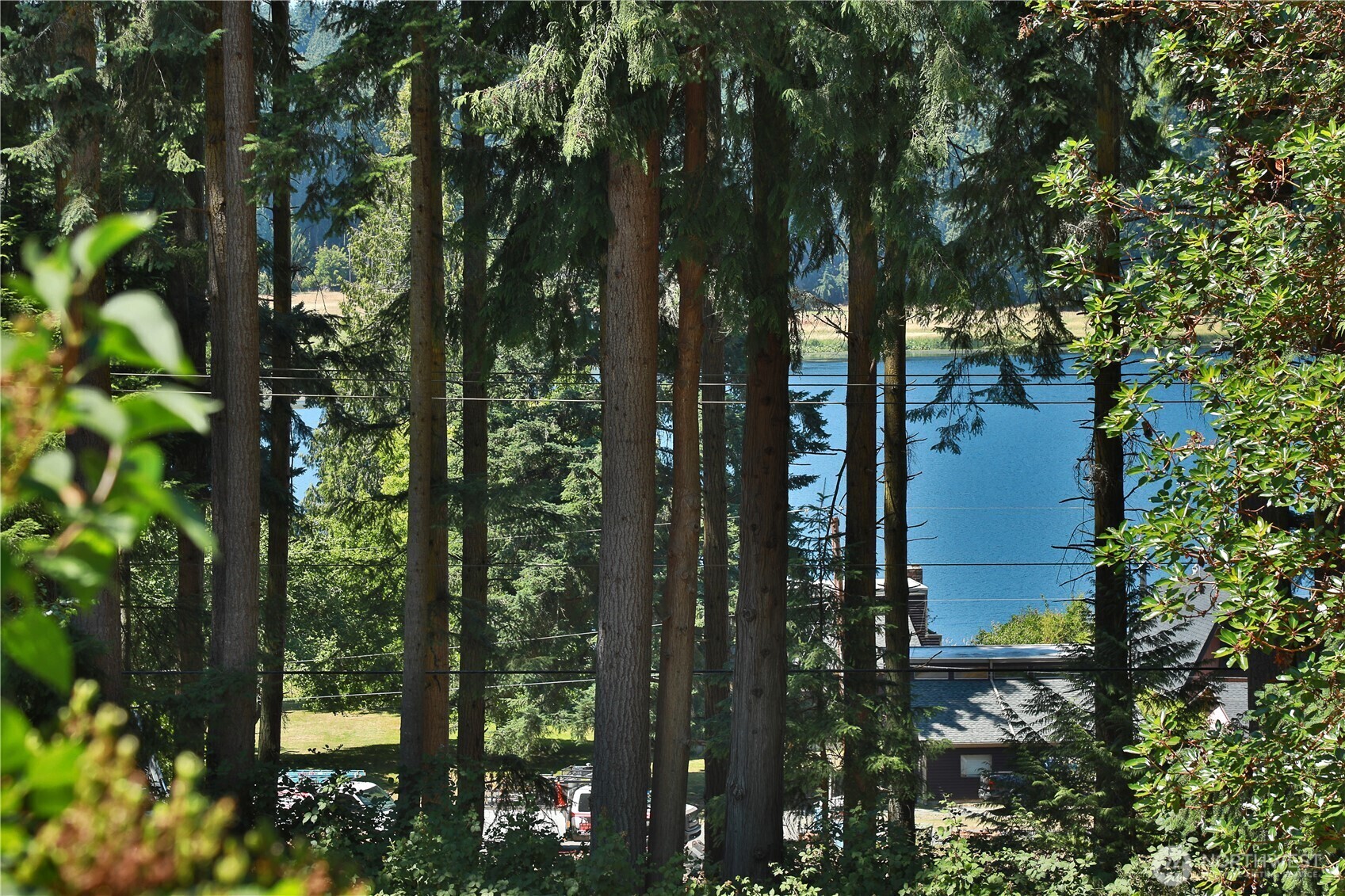 Property Photo: 0 April Drive WA 98260