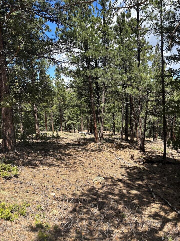 Property Photo: 54 Holmes Gulch Road CO 80421