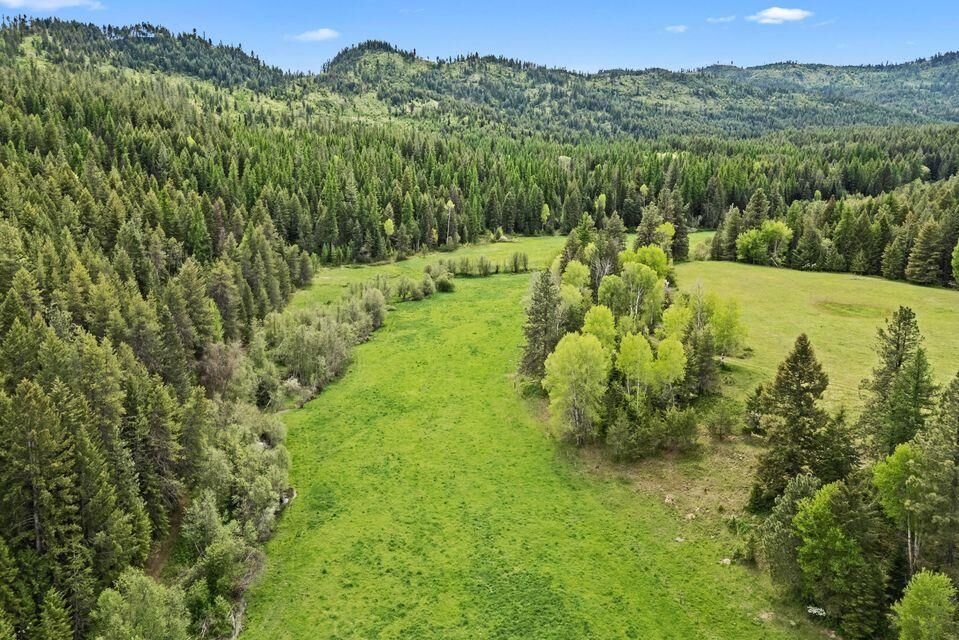 Property Photo:  205X Dry Creek Rd  WA 99109-0000 