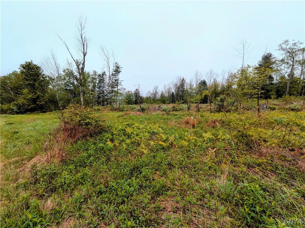 Property Photo: 0 Maricle Rd. Road NY 13040