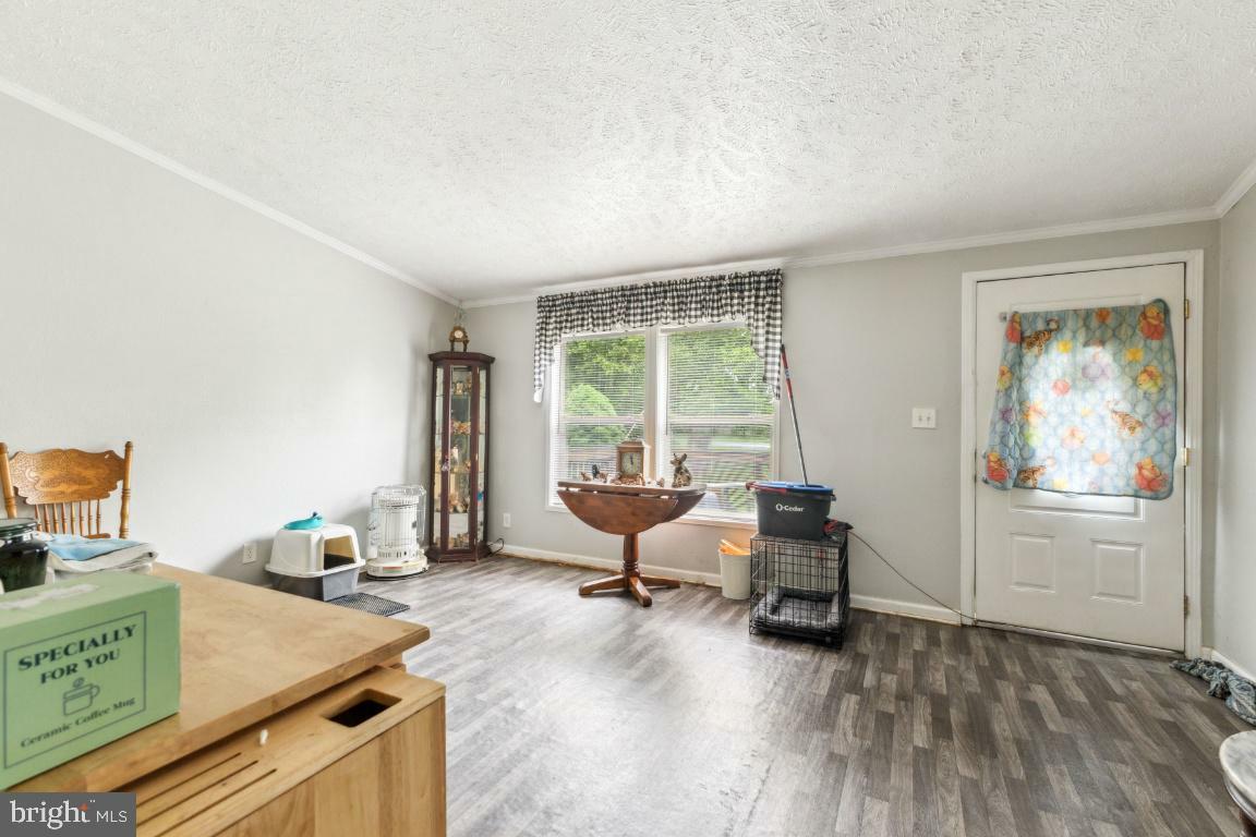Property Photo: 191 Youngs Drive VA 22630