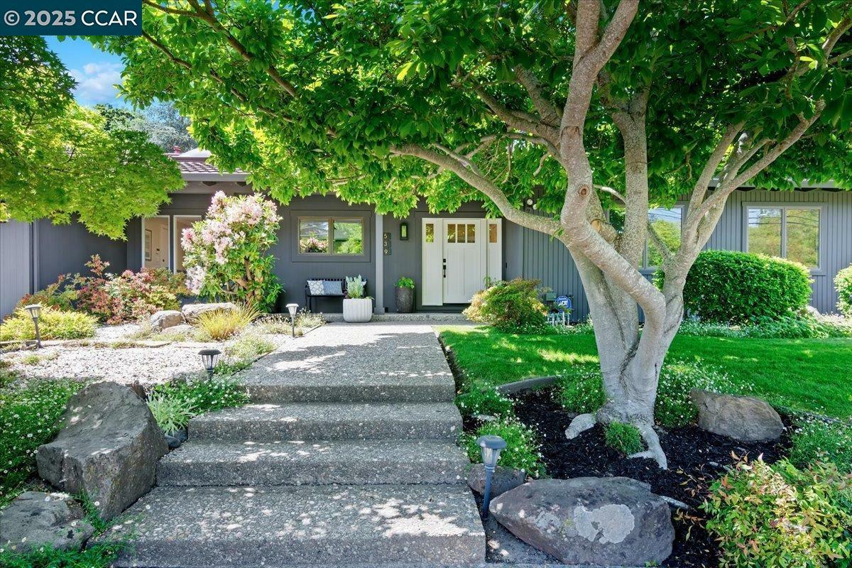 539 Silverado Dr  Lafayette CA 94549 photo