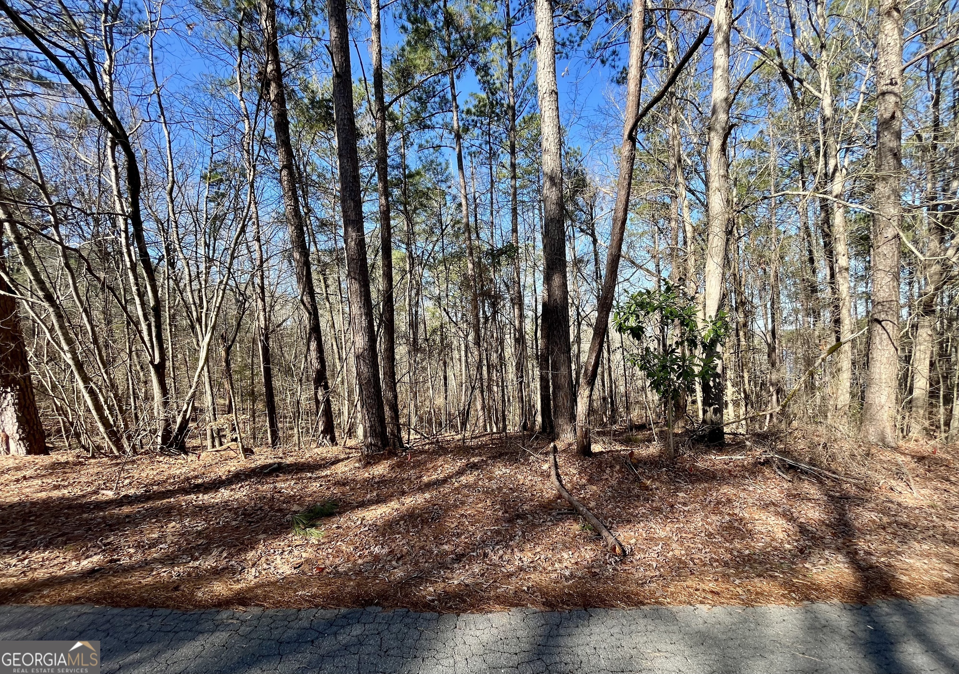 Property Photo: 0 Flamingo Drive Lot 129 GA 31064