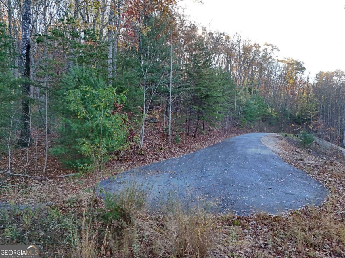 Property Photo: Lt 20&Amp21 Red Twig Road GA 30512