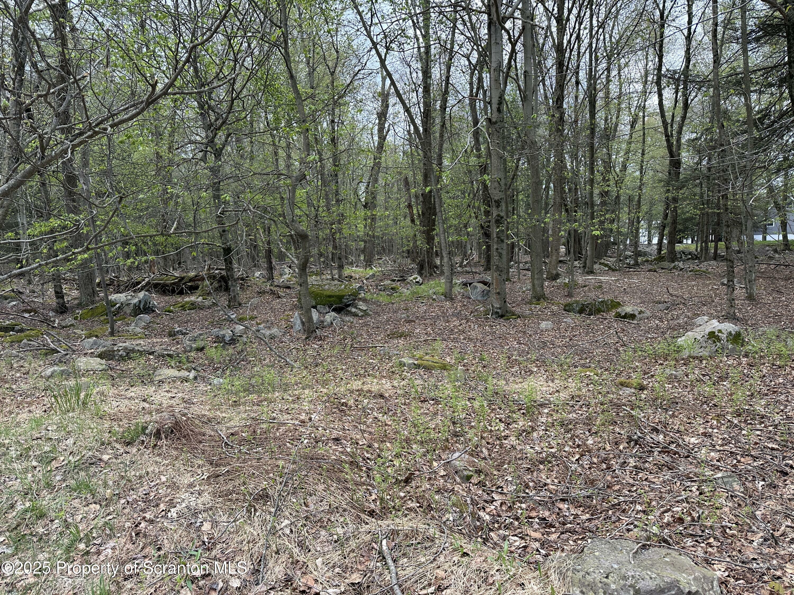 Property Photo: Pocono Drive E PA 18424