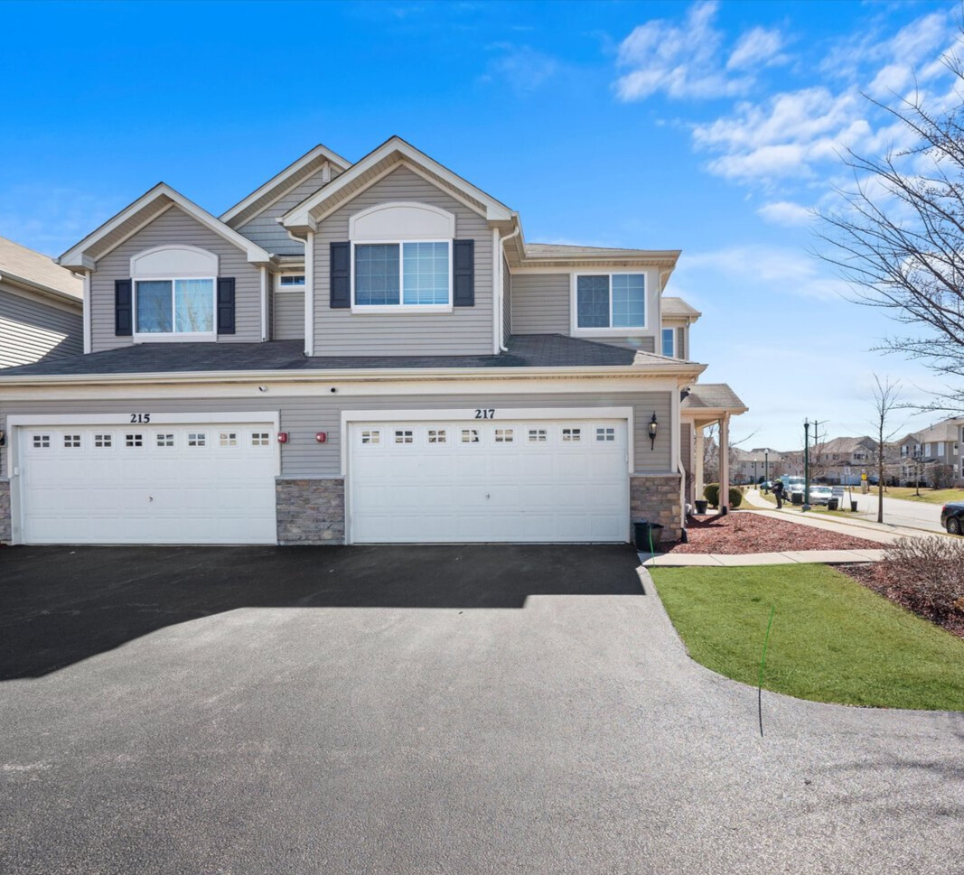 Property Photo:  217 Owen Street  IL 60443 
