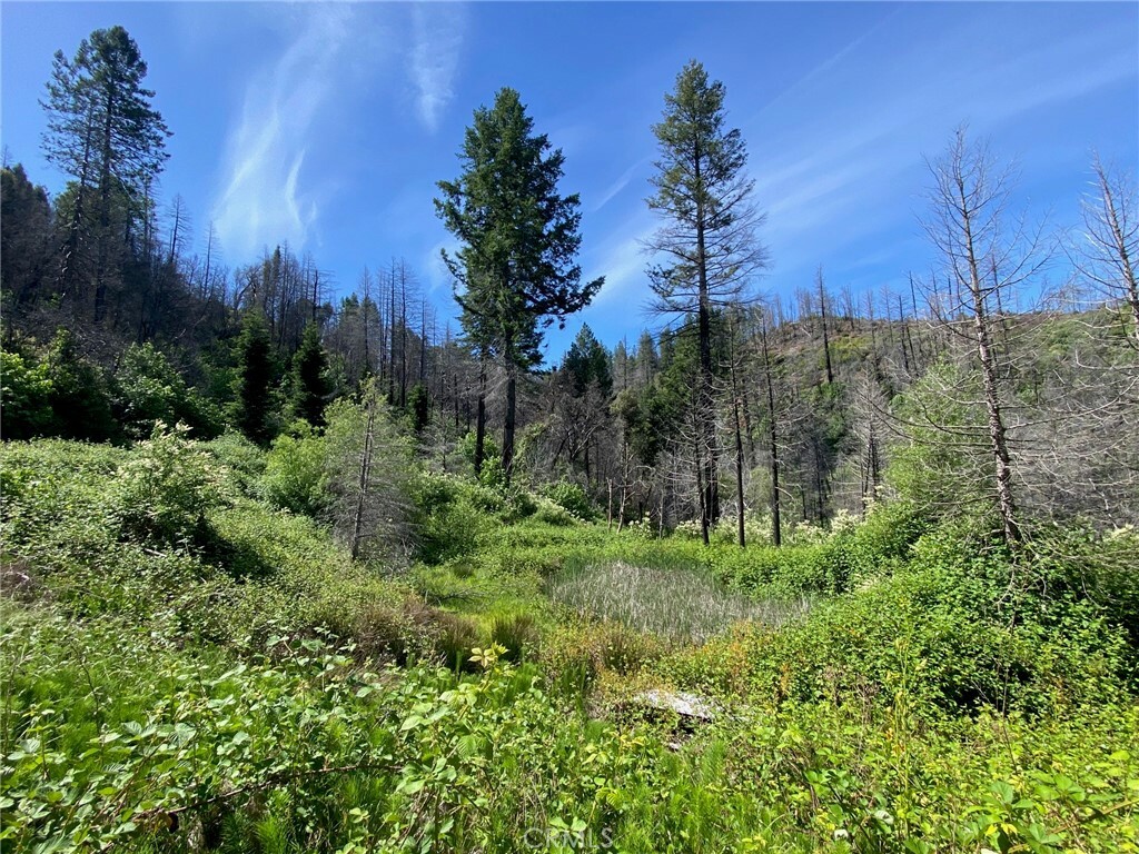 Property Photo: 582 Eden Canyon Road CA 95916