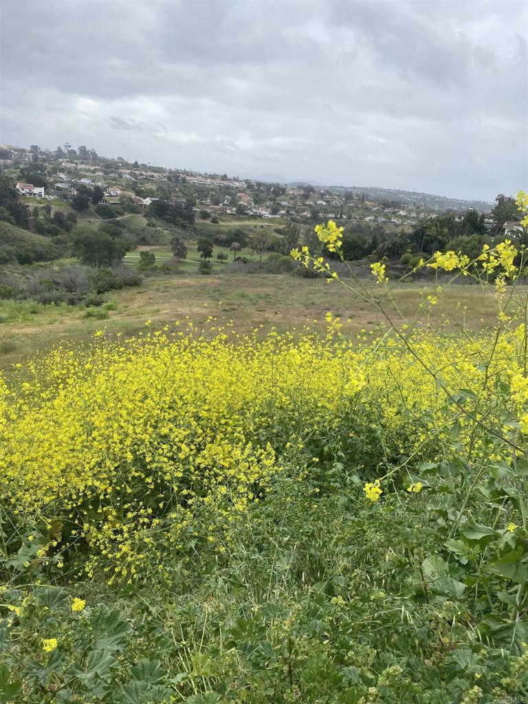 Property Photo: 0 Oceanview Road CA 92056