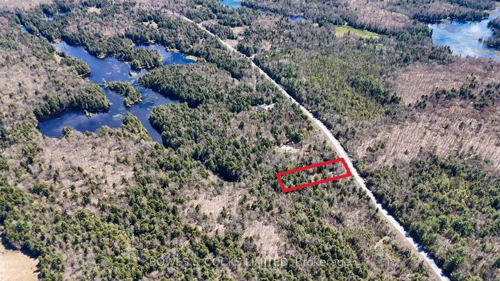 1160 Balmer Road  North Kawartha ON K0L 1A0 photo