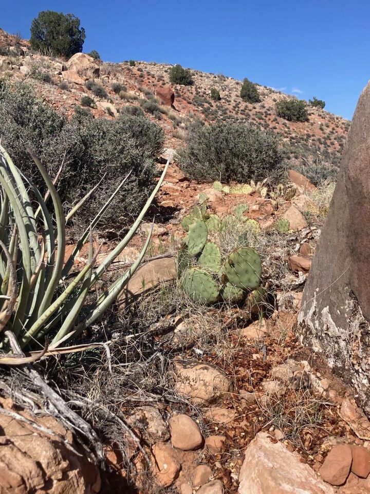 Property Photo:  1 Acre Eagle Crags Rd  UT 84763 