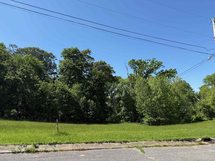 Property Photo:  Lot #17 Meadow Glen Road  KY 41139 