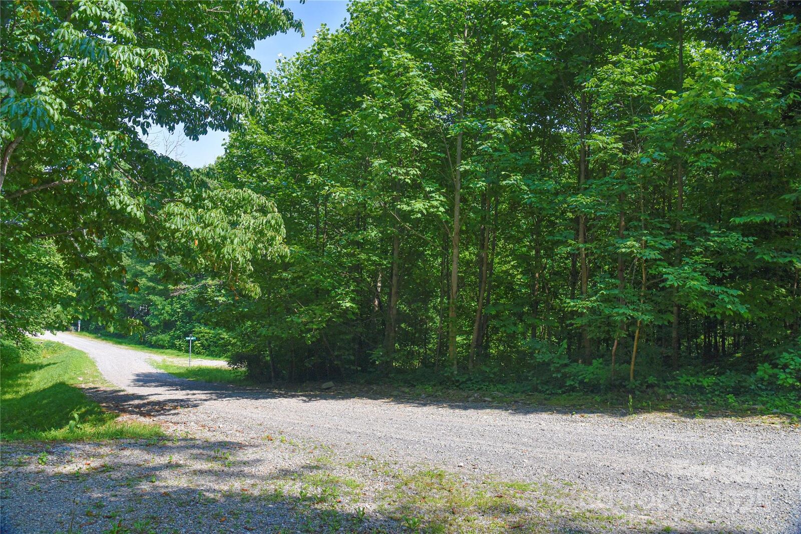 Property Photo: 99999 Upward Way 36 NC 28785