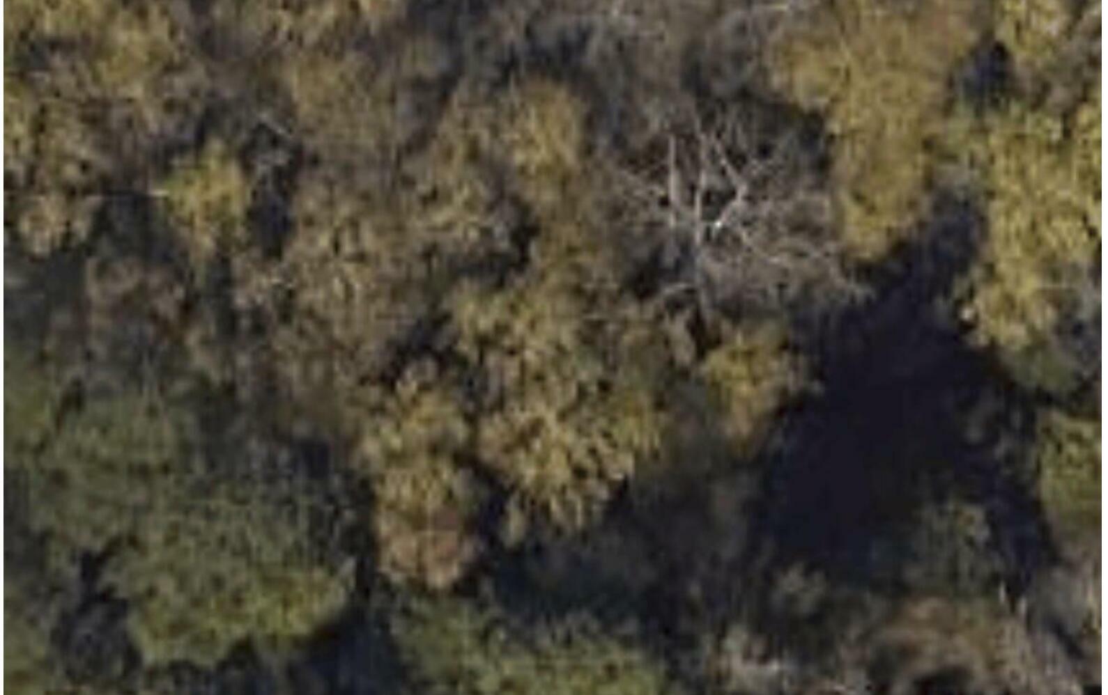 0 Settlement Road  Martinez GA 30907 photo