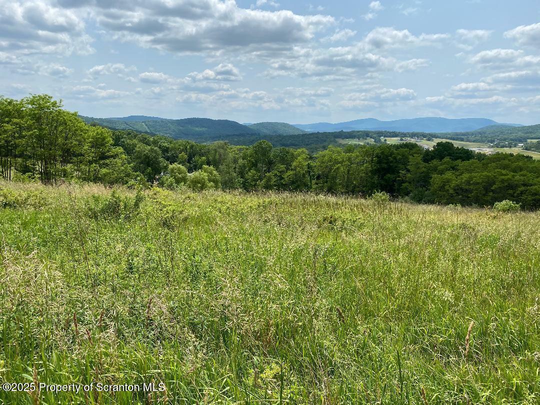 Property Photo: 5 Middle Mountain Drive PA 18657