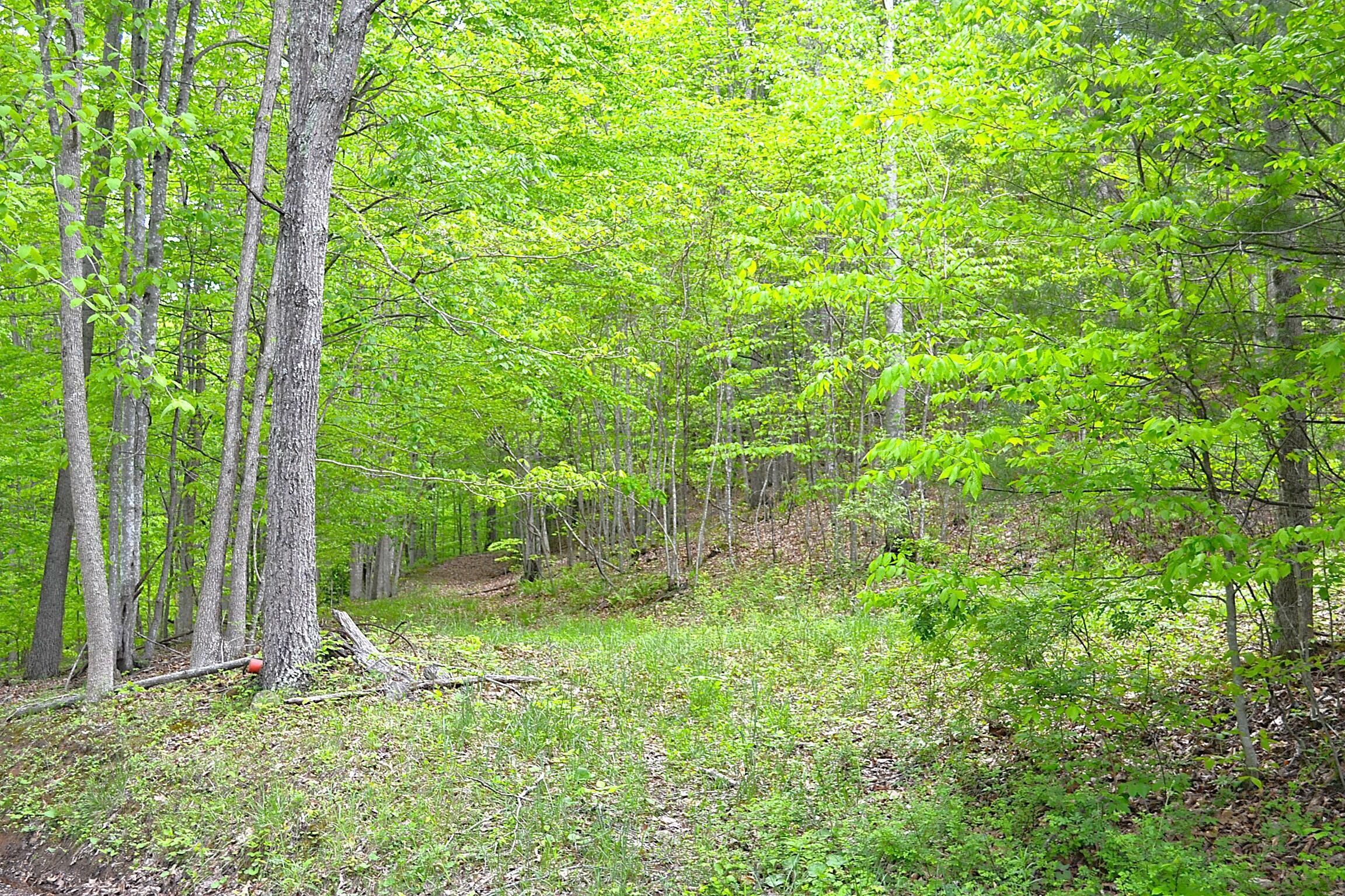 Property Photo: Germany Rd WV 24966