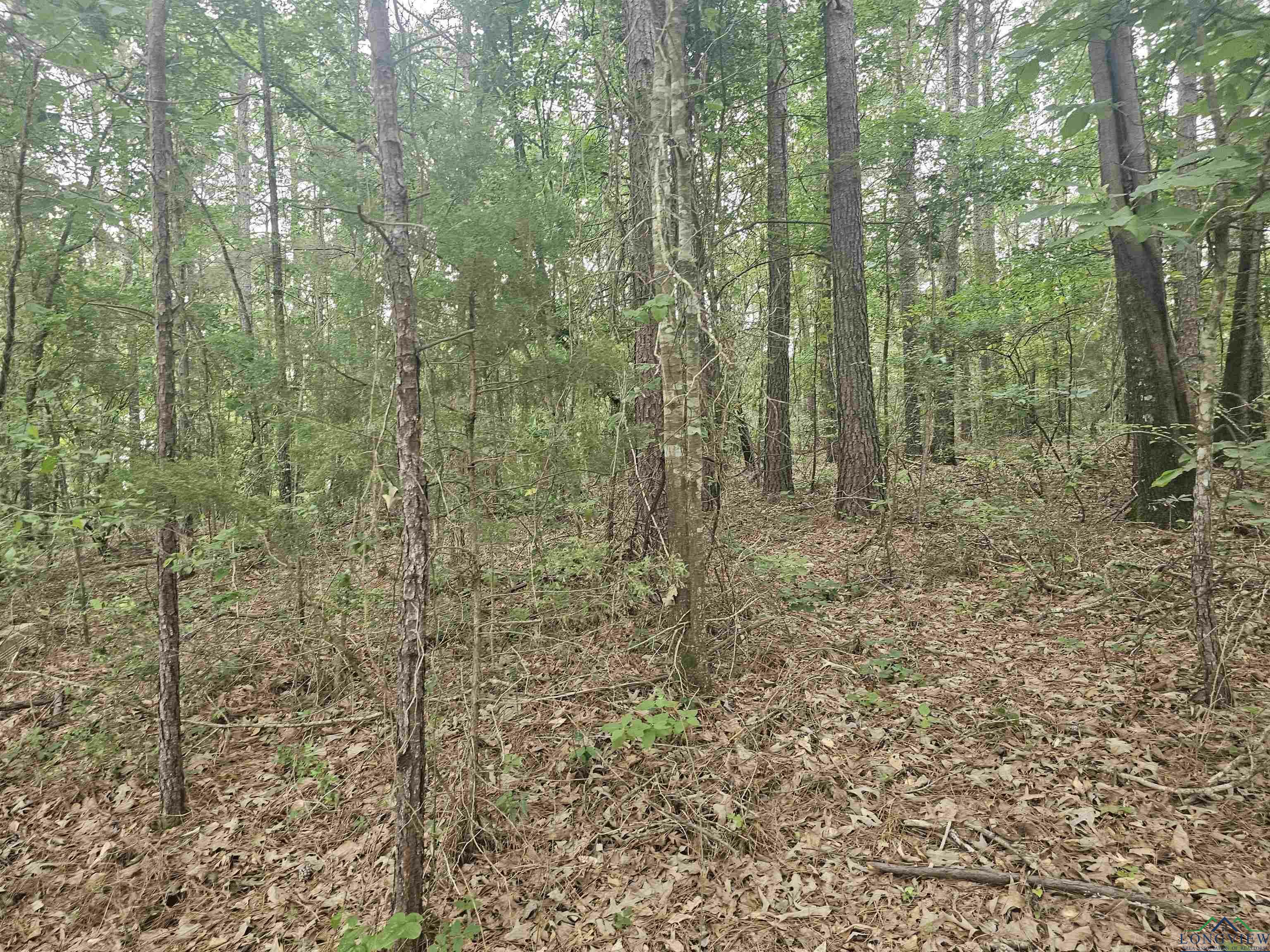 Property Photo: Tbd Long John Rd. TX 75672