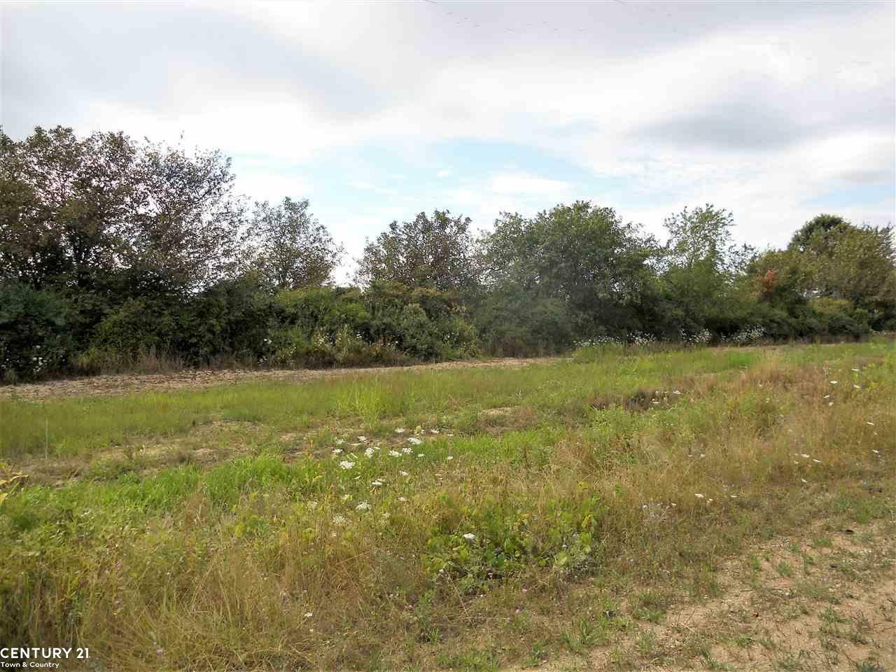 Property Photo: 0 Windmill Lane MI 48444