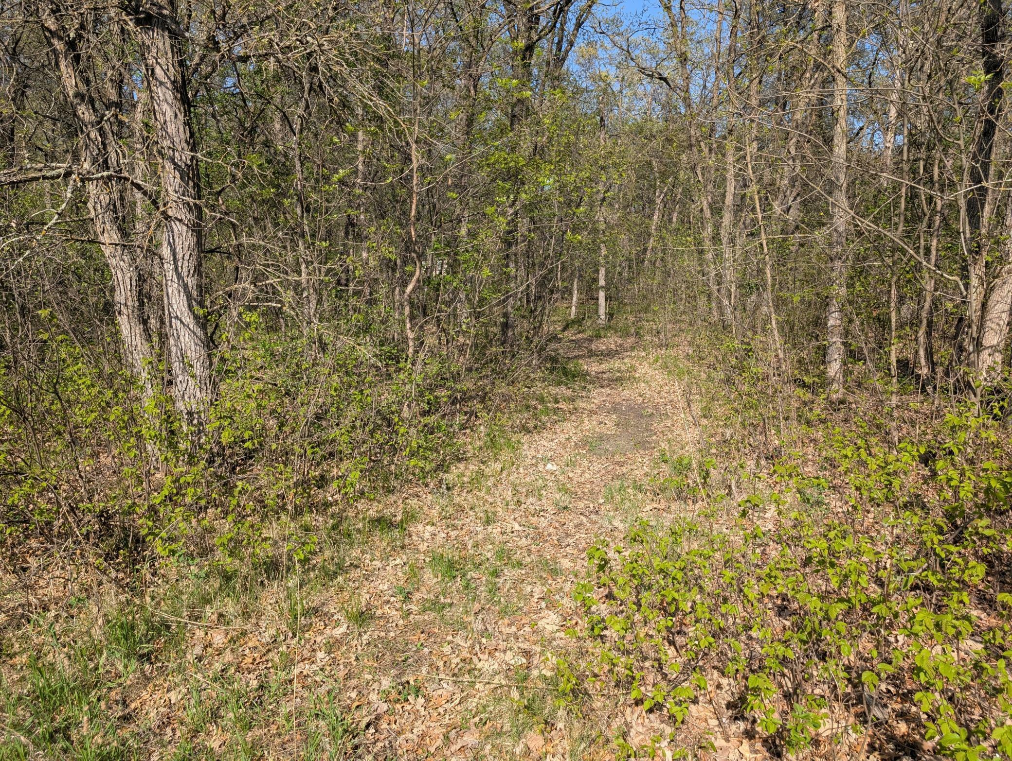 Property Photo: Tbdx Arbor Lane SW MN 56473