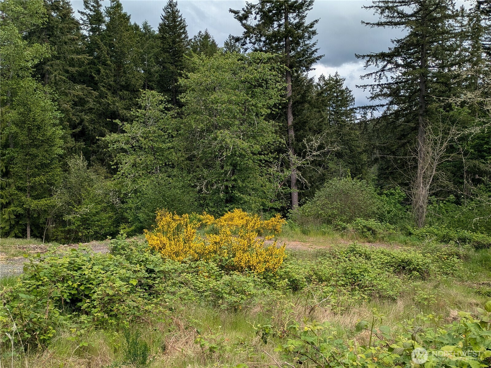 Property Photo: 21924 Promontory Court SE WA 98597