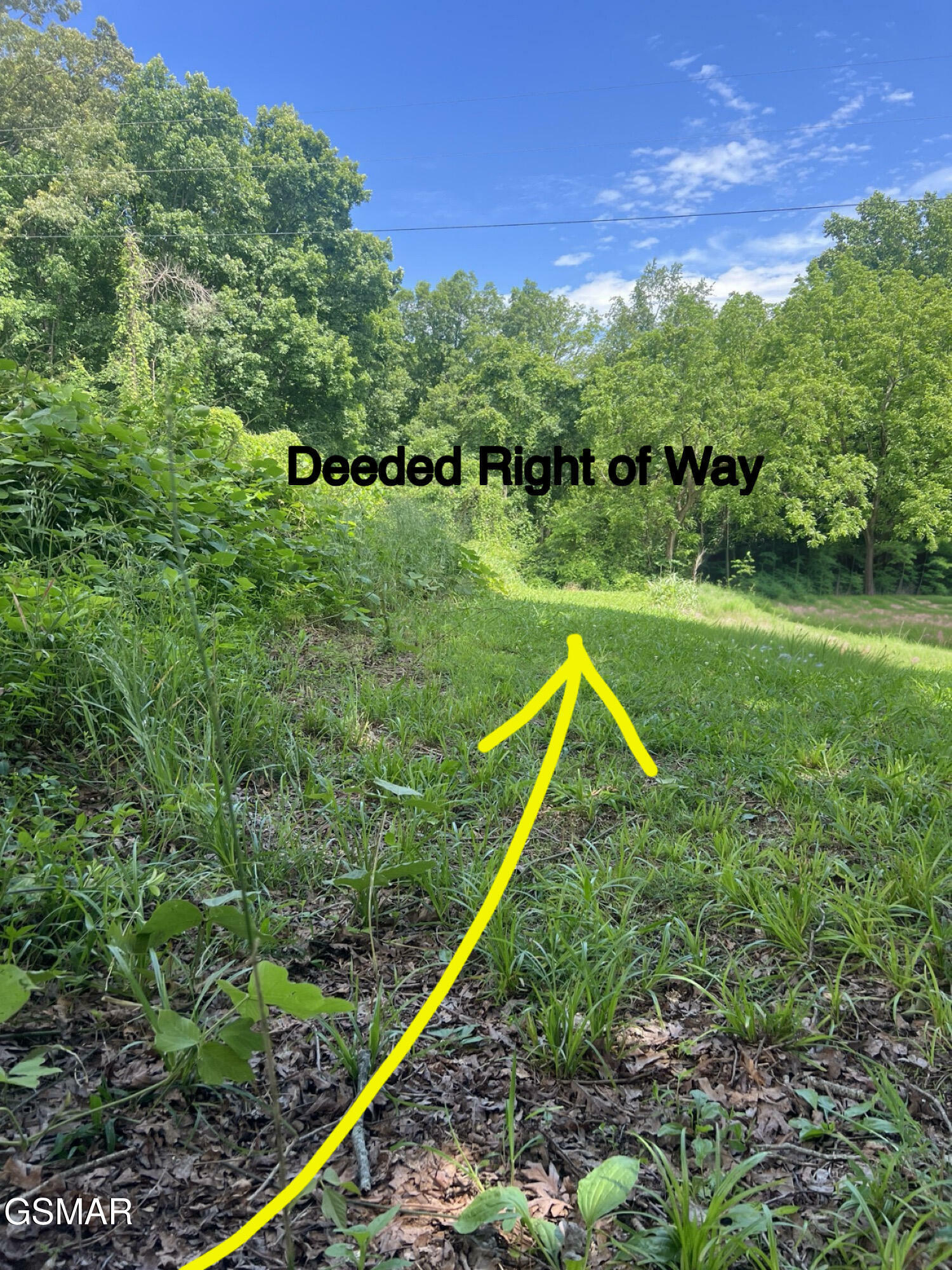 Property Photo: Tbd Friends Station Rd Road TN 37820