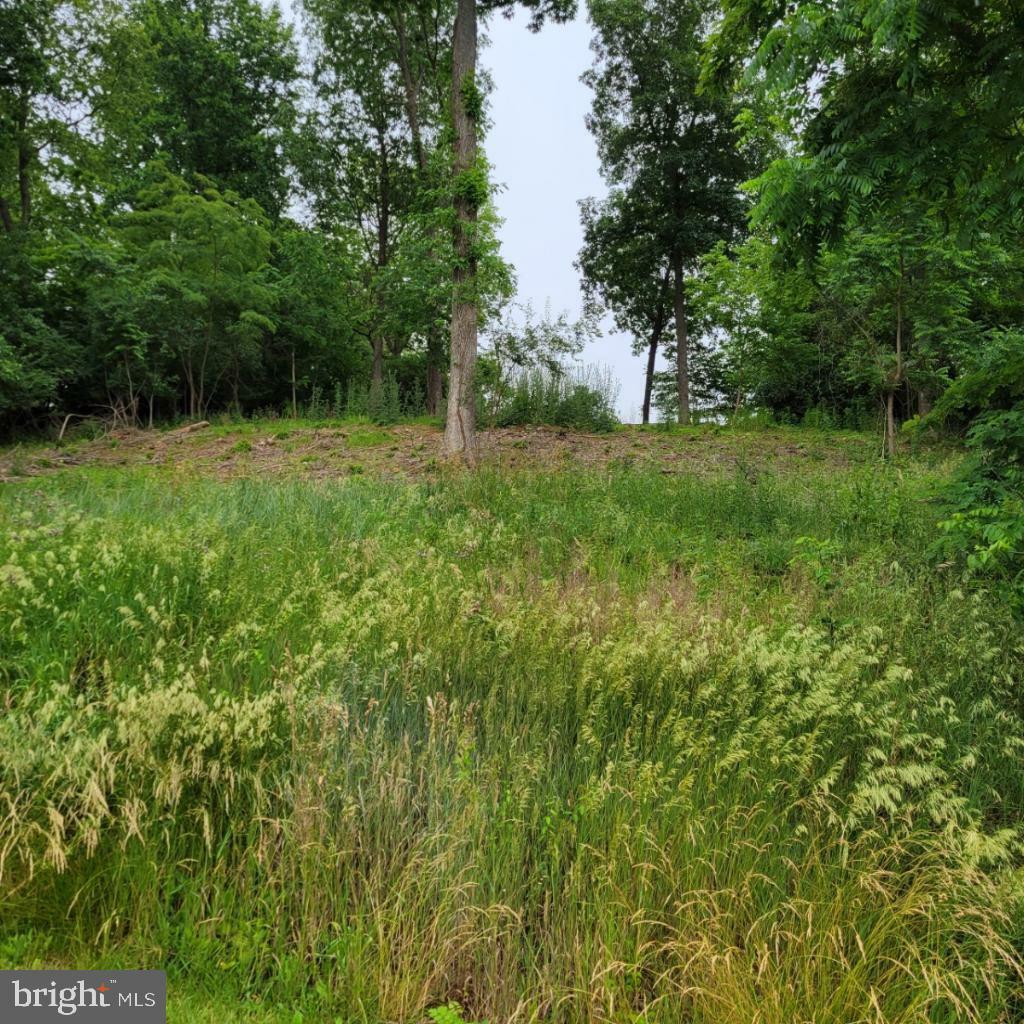 10952 Partridge Drive  Waynesboro PA 17268 photo