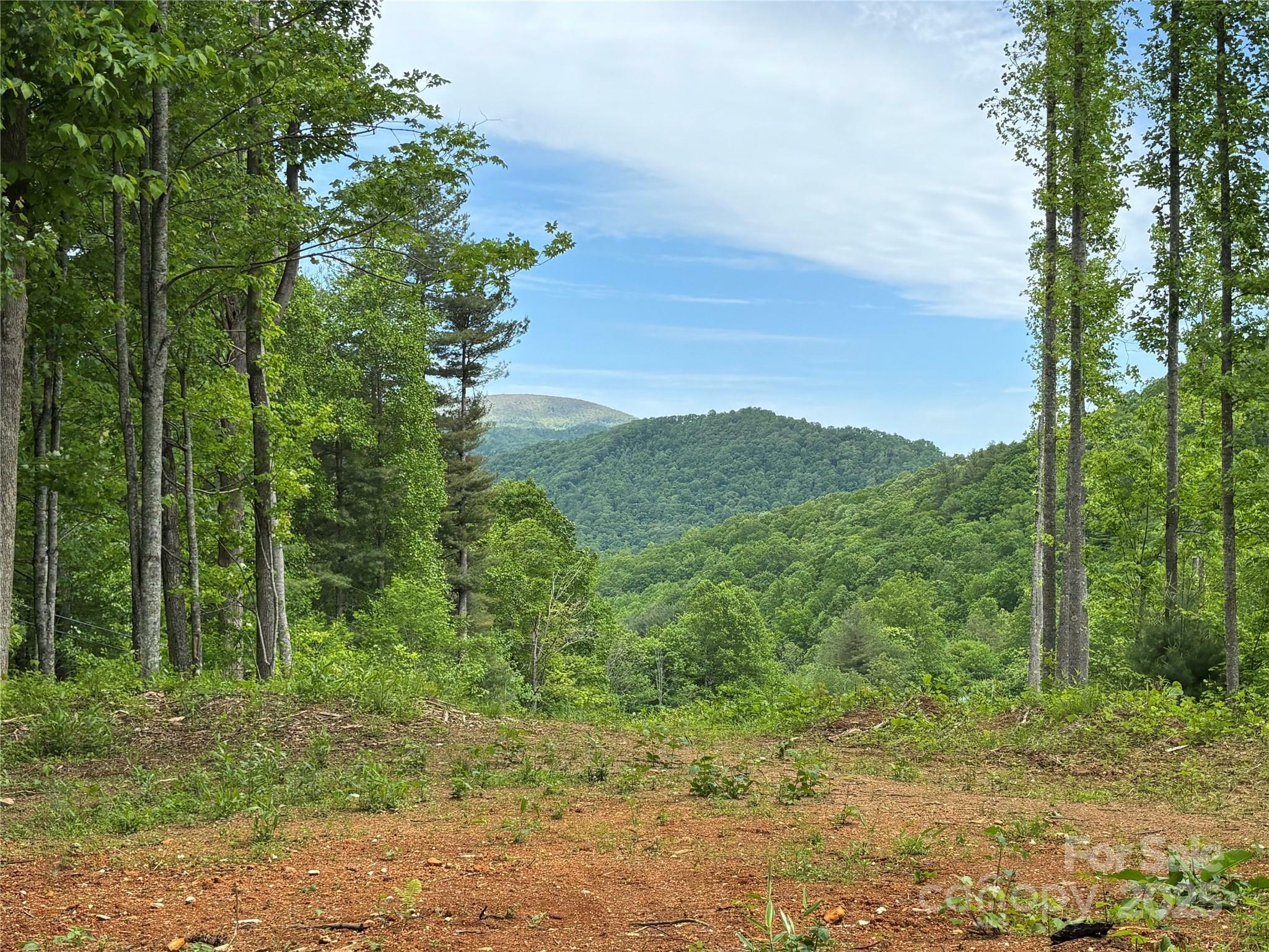 (SW Lot) Tbd Silas Branch Road  Burnsville NC 28714 photo
