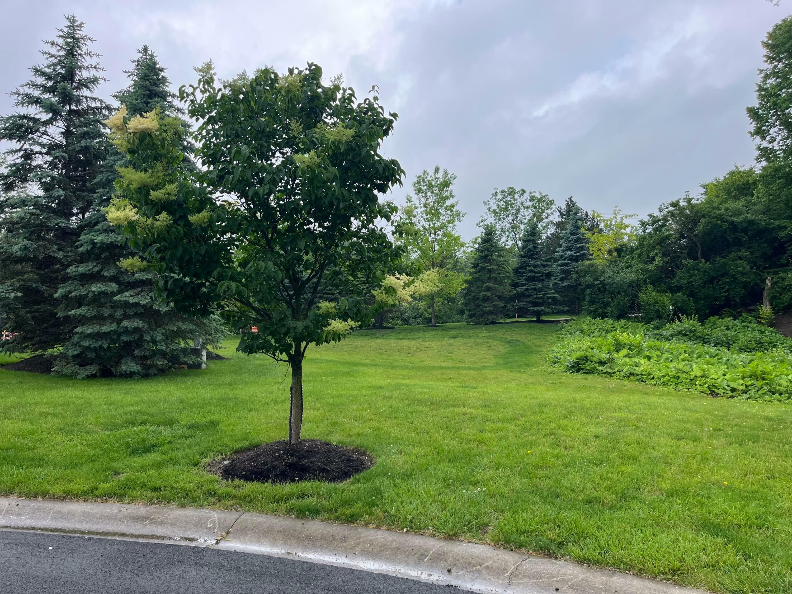 Property Photo: 2600 Scioto Pointe Lane OH 43221
