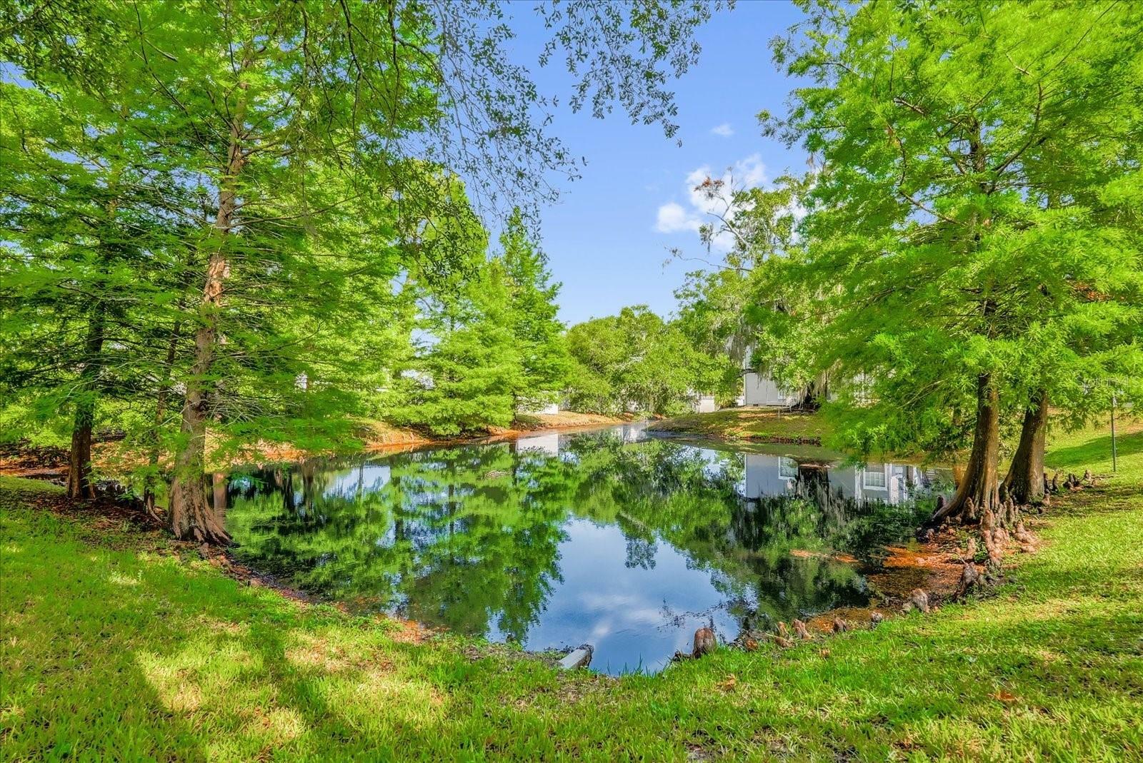 Property Photo: 935 Northern Dancer Way 107 FL 32707
