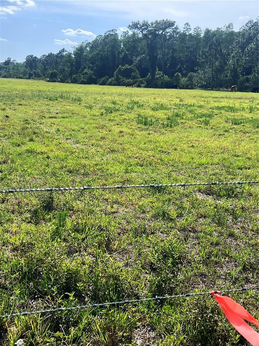 Property Photo: Old Grade Road FL 33868