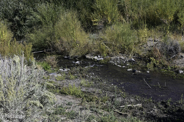 Property Photo:  330 Veris Court  NV 89410 