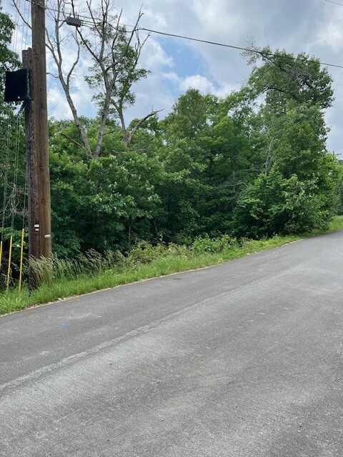 Property Photo: Lot 21 Mildenhall Drive AR 72714