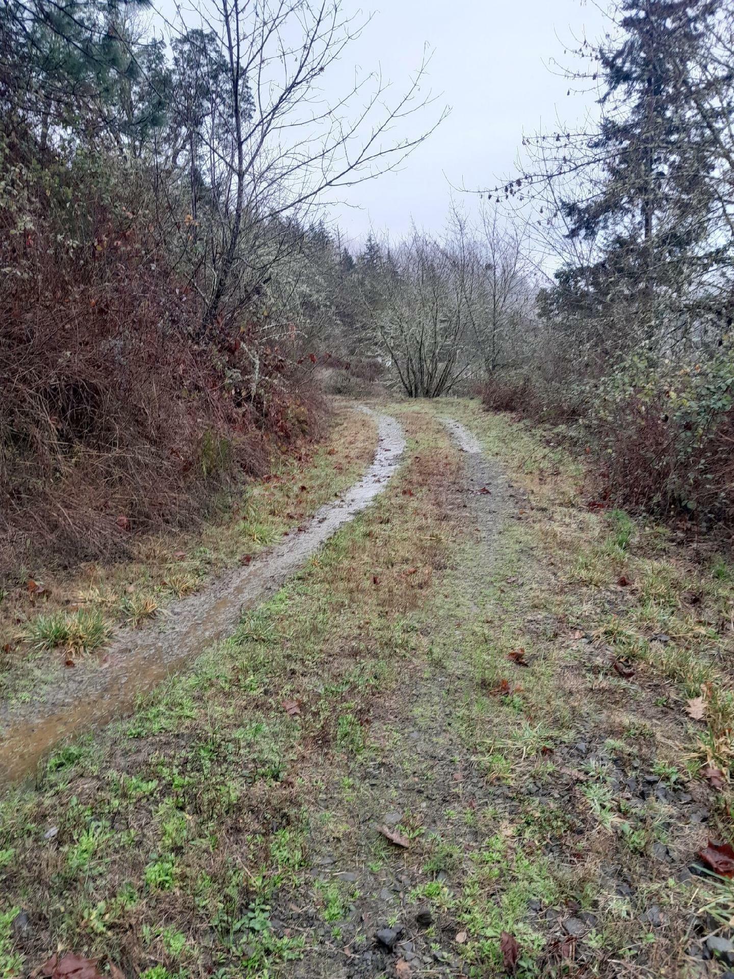 Property Photo:  Old Hwy 99 N  OR 97479 