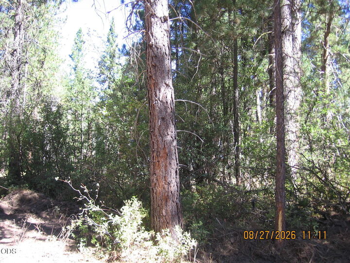 Property Photo:  E. Street 23  OR 97601 