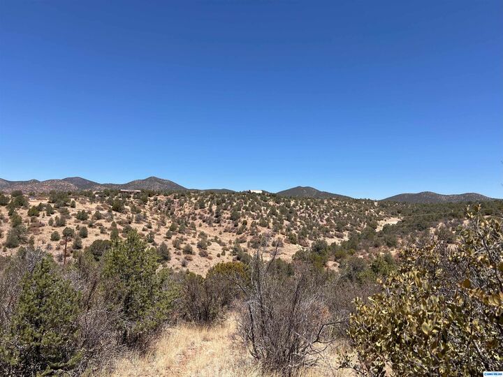 Property Photo: 26 Babbling Brook Road NM 88061