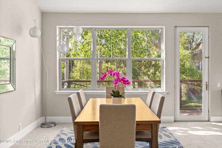 Property Photo: 612 Evans Court CO 81621