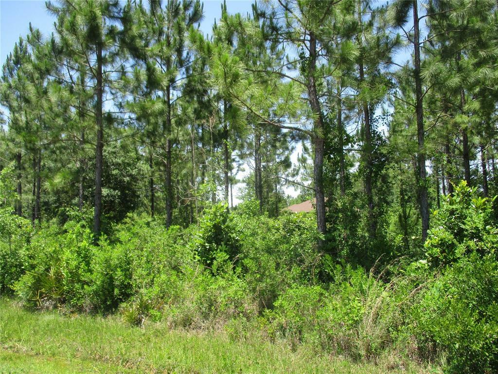 Property Photo: 0 10th Avenue FL 32046