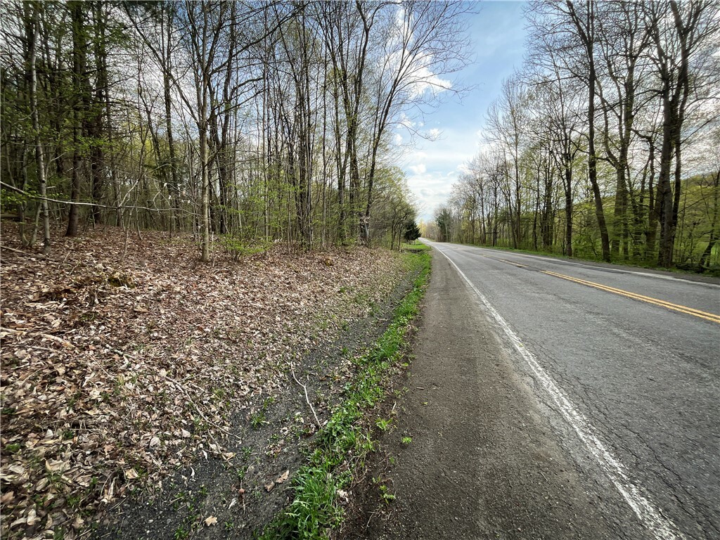 Property Photo: W Creek Road NY 13835